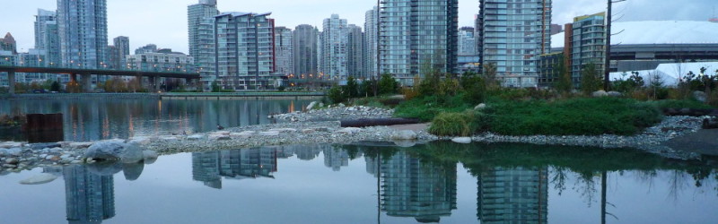 Clean up Southeast False Creek